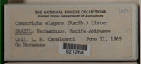 Image Associated With the Occurence